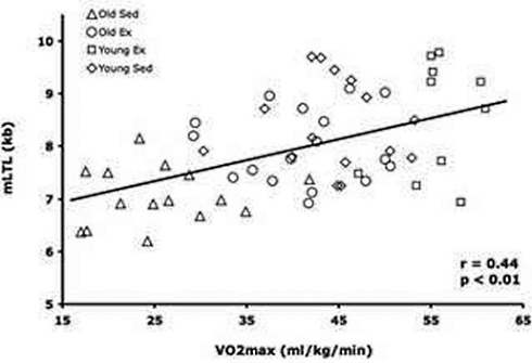 Verhoog je VO2max en vertraag je veroudering