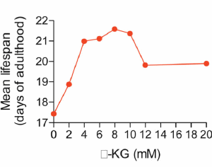 Glycine AKG als longevity-supplement?