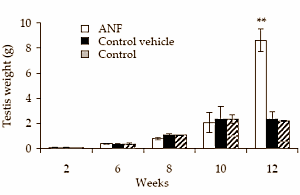 Alpha-naphthoflavone in bodybuildingsupplementen