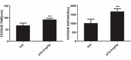 Arctigenin, de endurance drug in Arctium lappa