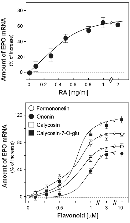 Astragalus membranaceus verhoogt aanmaak van EPO