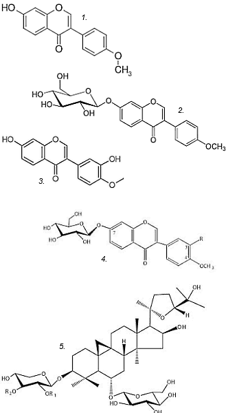 Duursporters die hun uithoudingsvermogen willen verbeteren hebben misschien een hele goeie aan Astragalus membranaceus. Overal en nergens verkrijgbaar. Volgens een dierstudie die is verschenen in Molecules resulteert duurtraining in een beduidend meer uithoudingsvermogen als je daarbij ook dagelijks drie gram Astragalus membranaceus slikt.