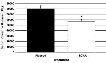 BCAA's plus glutamine verhogen testosteronspiegel in bodybuilders