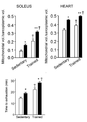 Supplement met BCAA's levensverlengend in dierstudie