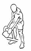 Goede en minder goede oefeningen voor je biceps