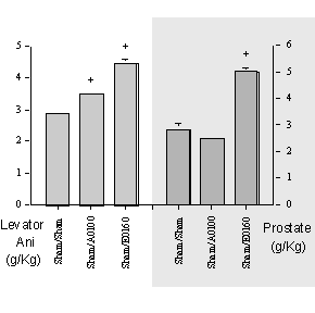 DEA onderzoekt dienolone