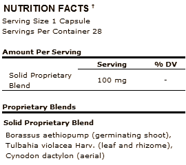 Borassus aethiopum voor bodybuilders?