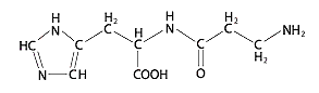 Beta-alanine voor een snellere eindsprint
