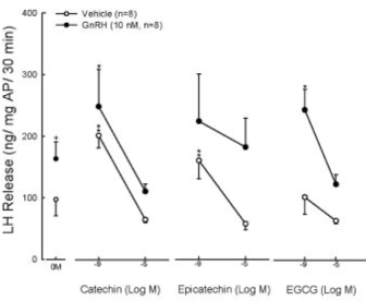 Dierstudie: thee is testosteronbooster