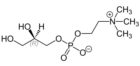 Neurologen gebruiken supplementen met L-alpha glyceryl-phosphorylcholine - kortweg: Alpha-GPC - soms tegen beginnende en milde vormen van dementie of Alzheimer. Die supplementen kunnen als bijwerking de zin in seks ongezond laten toenemen, schrijven neurologen van het Italiaanse IRCCS Centro Neurolesi Bonino-Pulejo in de Archives of Sexual Behavior.