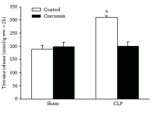 Kurkuma is een veelzijdig antikatabool, zegt dierstudie