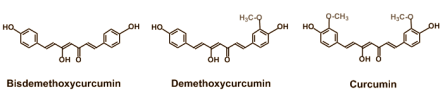 Depressieve mensen die elke dag 1000 mg van een curcuminrijk extract van Curcuma longa slikken reageren daarop net zo goed als op een standaarddosis van 20 mg fluoxetine, de actieve stof in Prozac. Dat schrijven farmacologen van Government Medical College Bhavnagar in India in Phytotherapy Research.