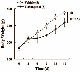 Dierstudie: Pycnogenol is afslanksupplement