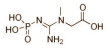 Spieren nemen creatine beter op als je creatine inneemt met koolhydraten, en zeker als je dat mengsel na je training binnenkrijgt. Die truc werkt beter als je daarbij een supplement met alpha-lipoic acid gebruikt. Dat ontdekten bewegingswetenschappers van St. Francis Xavier University in Canada.