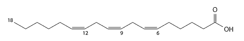 Gamma-Linoleenzuur
