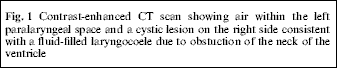 Growth hormone abuse and bodybuilding as aetiological factors in the development of bilateral internal laryngocoeles. A case report.