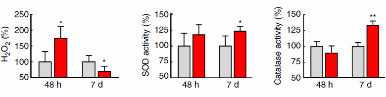 Drogisterijen en supplementenwinkels verkopen al zo'n twintig jaar glucosamine, een versuikerd aminozuur dat volgens kleine studies gewrichten beschermt (en volgens grotere, veelal door de farmacie bekostigde studies helemaal niks doet). Datzelfde glucosamine verlengt volgens Zwitserse en Duitse moleculaire biologen de levensduur. Glucosamine imiteert het effect van een koolhydraatarm dieet.
