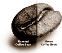 Studie afslankeffect Green Coffee Bean-extract was nep