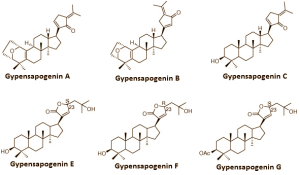 Afslanken zonder dieet met Gynostemma pentaphyllum