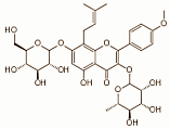 De ongekende mogelijkheden van de Horny Goat Weed-leucine-cocktail