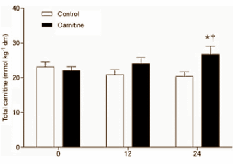 Duursporters hebben echt iets aan L-carnitine. Als ze de stof een paar maanden innemen met een flinke hoeveelheid koolhydraten gaan hun spieren zuiniger om met glycogeen en neemt hun arbeidsvermogen toe.