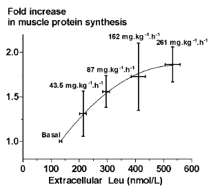 Meest effectieve dosis leucine misschien wel 20 gram