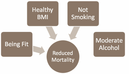 Word niet te dik, blijf fit en rook niet. Dat zijn, volgens epidemiologen van het Zweedse Karolinska Institutet, de basisregels voor iedereen die op een gezonde manier oud wil worden. En je ziet het goed. Matig alcoholgebruik, volgens wetenschappers o zo gezond voor hart en bloedvaten, zit daar niet bij.