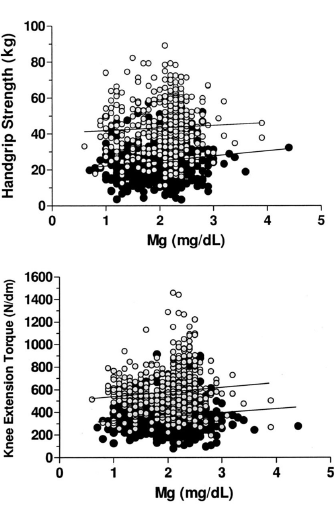 Epidemiologische studie: meer spierkracht door meer magnesium
