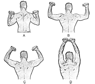 Voor de perfecte neck-press heb je dumbbells nodig