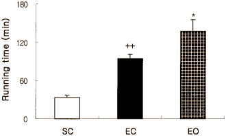 Dierstudie: octacosanol is duursportsupplement