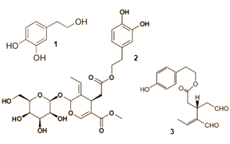 Olive Leaf Extract laat beschadigd kraakbeen sneller herstellen