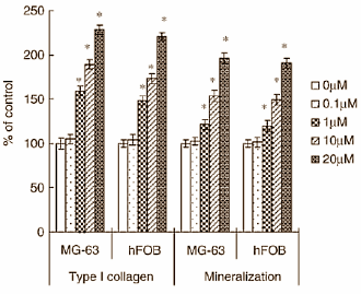Piceatannol, een metaboliet van resveratrol die wel eens bovengemiddeld interessant voor supplementenbedrijven zou kunnen worden, maakt het skelet misschien sterker. Tenminste, die indruk wekt een celstudie die moleculaire biologen van Chia-Nan University of Pharmacy and Science in Taiwan hebben gepubliceerd in de European Journal of Pharmacology.