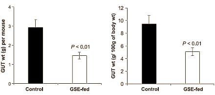 Grape Seed Extract remt 'genetisch onvermijdelijke' prostaatkanker