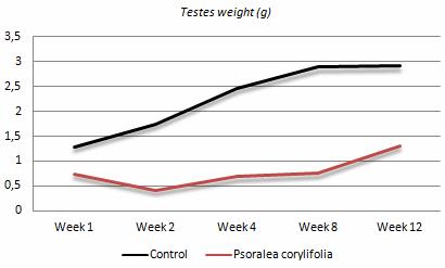 Is dat nou slim? Psoralea corylifolia in supplementen stoppen?