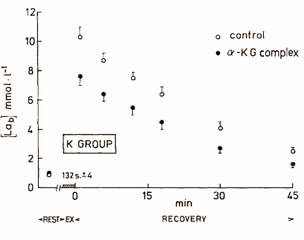 Complex van vitamine B6 en alpha-ketoglutaraat vergroot VO2max