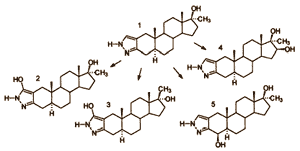 Uit sommige kranen in de Hongaarse hoofdstad Budapest komt drinkwater met detecteerbare hoeveelheden van het anabole steroid stanozolol. Dat schrijven chemici van de Britse Kingston University in Chemistry Central Journal.
