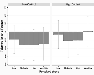 Veel stress? Je moleculaire klok tikt sneller