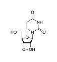 Uridine