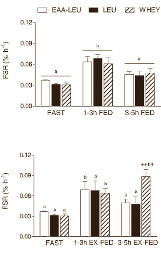 Leucine is geen wondermiddel