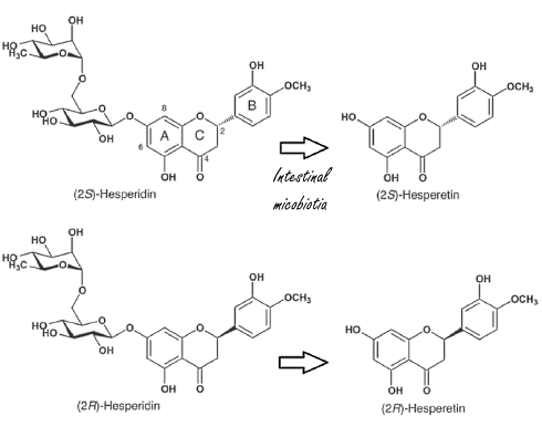 Een halve gram 2S-hesperidine versnelt je sprint