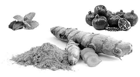 De longevity-top-3: rosmarinic acid, granaatappel en curcumine