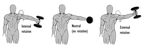 Dit is misschien wel de beste uitvoering van de lateral raise