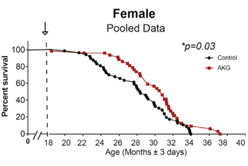 AKG, een longevity-supplement?