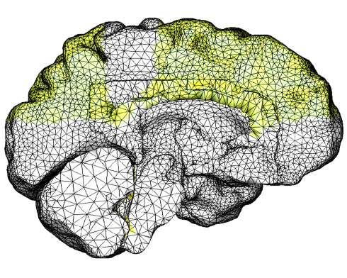 Combinatie Ginkgo en DHA beschermt misschien tegen Alzheimer | Dierstudie