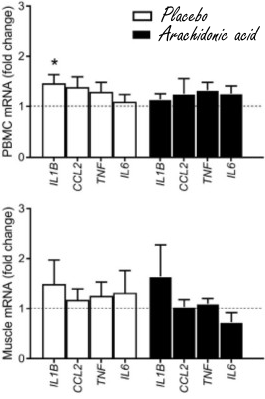 Arachidonic acid, een spierversterkend vetzuur zonder gezondheidsrisico's