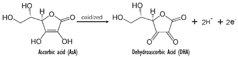 Resveratrol maakt vitamine C een nog effectievere cosmeceutical voor je huid