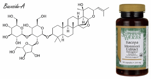 Bacopa monnieri, een natuurlijke smartdrug voor intelligente mensen
