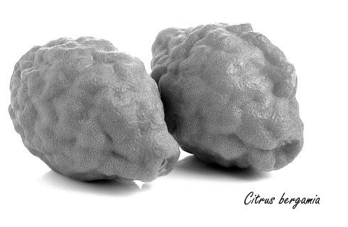 Aromatherapie met bergamot-olie maakt je positiever
