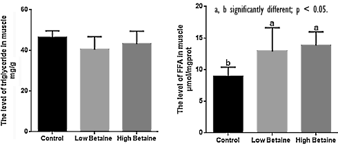 Hoe betaine afslanksupplementen met cafeine beter laat werken