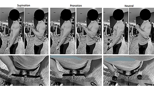 De variant van de curl die het meest geschikt is om je biceps te trainen, is die met een onderhandse gesupineerde greep. Dat blijkt uit een EMG-studie die in verschenen in Sports.